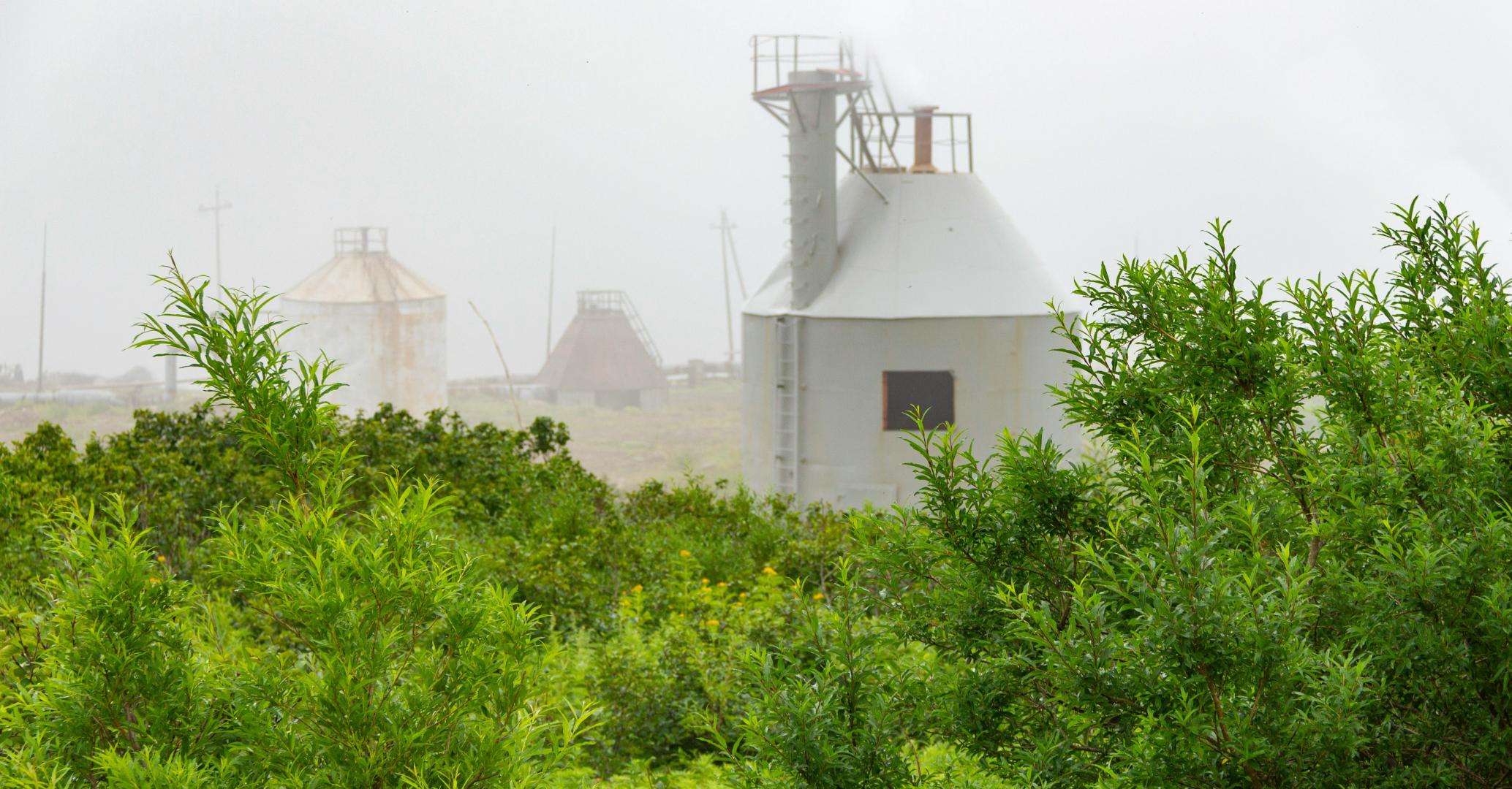 A shot of an industrial facility but in front is a nice line of green trees and foliage